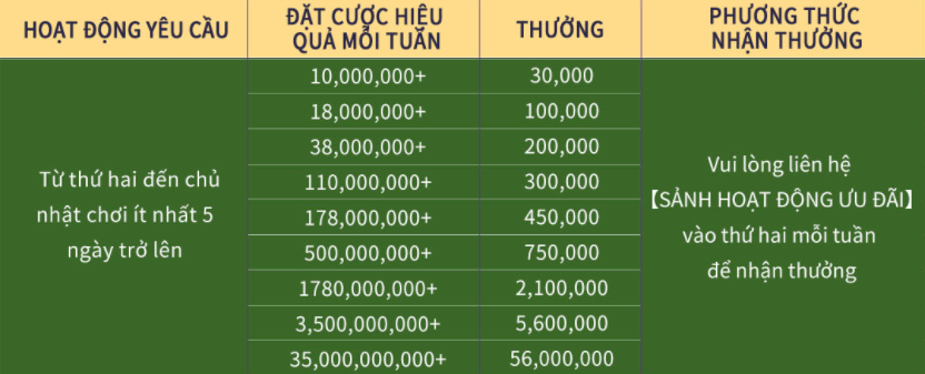 bảng cược thể thao